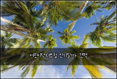 어린이닥터보험 인기일까  견적