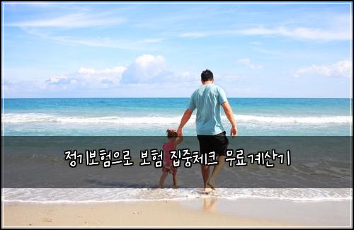 정기보험으로 보험 집중체크 무료계산기
