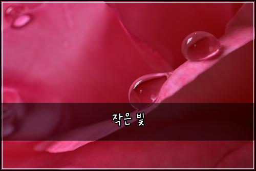 작은 빛