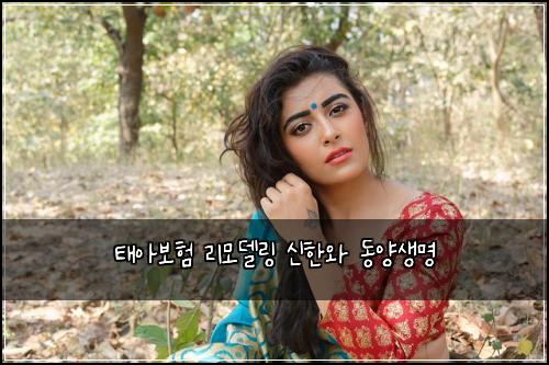 ํ์๋ณดํ ๋ฆฌ๋ชจ๋ธ๋ง ์ ํ์ ๋์์๋ช