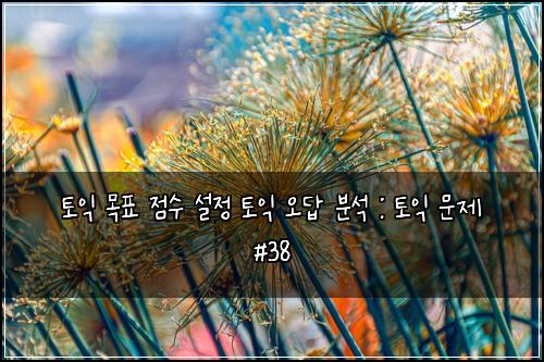토익 목표 점수 설정 토익 오답 분석 : 토익 문제 #38