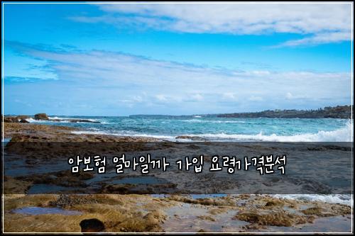 암보험 얼마일까  가입 요령가격분석