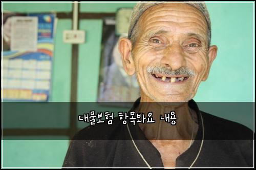 ๋๋ฌผ๋ณดํ ํญ๋ชฉ๋ด์ ๋ด์ฉ