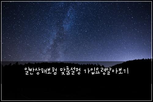 일반상해보험 맞춤설정  가입요령알아보기