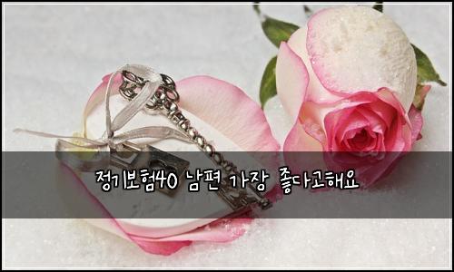 정기보험40 남편 가장 좋다고해요