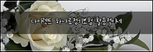 다이렉트 하나로정기보험 활용적이네 