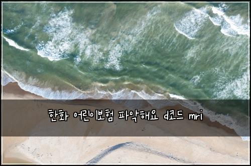 ํํ ์ด๋ฆฐ์ด๋ณดํ ํ์
ํด์ d์ฝ๋ mri