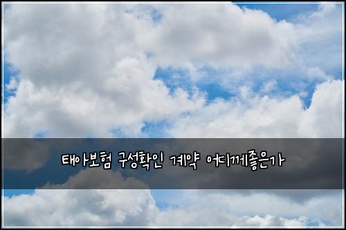 태아보험 구성확인  계약 어디께좋은가
