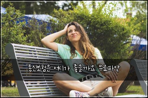 ์ข
์ ๋ณดํ์ ์ด๋๊ฐ ์ข์๊น์ ๋ฌด๋ฃํ์