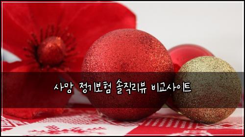 ์ฌ๋ง ์ ๊ธฐ๋ณดํ ์์ง๋ฆฌ๋ทฐ ๋น๊ต์ฌ์ดํธ
