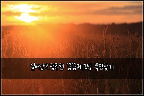 실버암보험추천 꼼꼼체크법 특징찾기