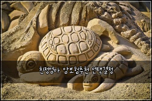 친정엄마 암보험추천 선택결정