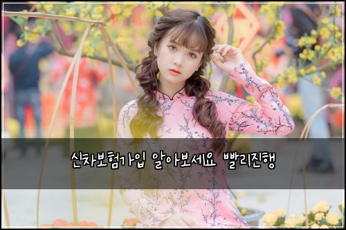 ์ ์ฐจ๋ณดํ๊ฐ์
์์๋ณด์ธ์ ๋นจ๋ฆฌ์งํ