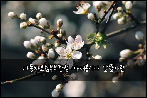 ์๋์ฐจ๋ณดํ๋ถ๋ถํ์ ๋ฐ์ ธ๋ด
์๋ค ์๋ฐ๋ง๋ จ