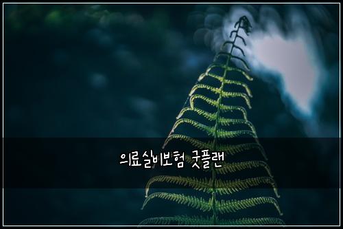 ์๋ฃ์ค๋น๋ณดํ ๊ตฟํ๋