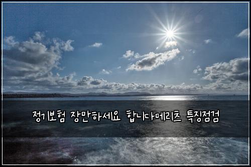 정기보험 장만하세요  합니다메리츠 특징점검
