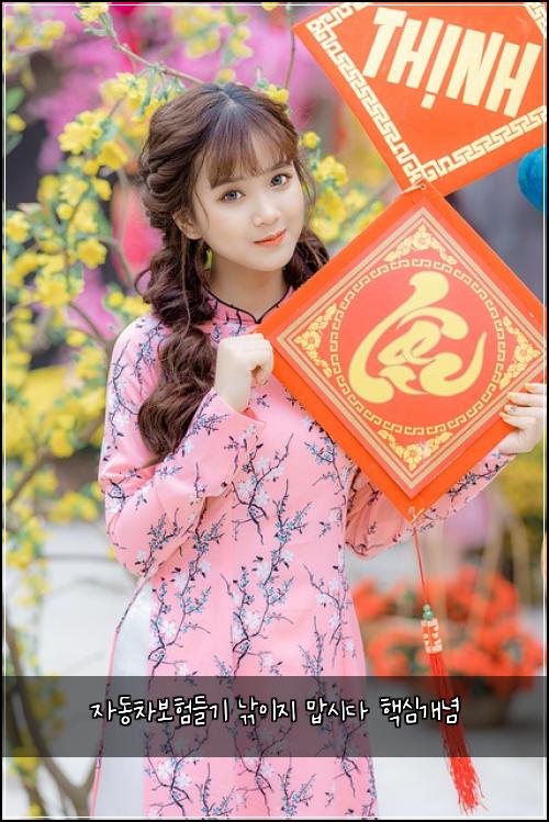 ์๋์ฐจ๋ณดํ๋ค๊ธฐ ๋์ด์ง ๋ง์๋ค ํต์ฌ๊ฐ๋
