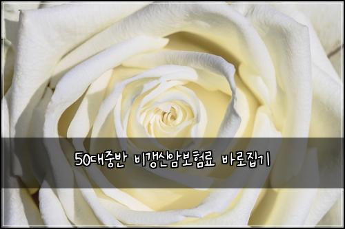 50๋์ค๋ฐ ๋น๊ฐฑ์ ์๋ณดํ๋ฃ ๋ฐ๋ก์ง๊ธฐ