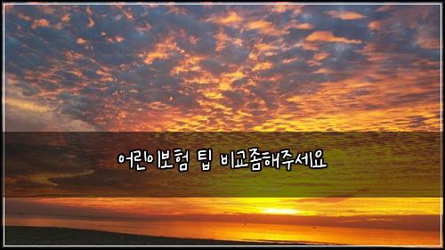 ์ด๋ฆฐ์ด๋ณดํ ํ ๋น๊ต์ขํด์ฃผ์ธ์