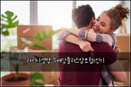 라이나생명 무배당플러스암보험 인기 