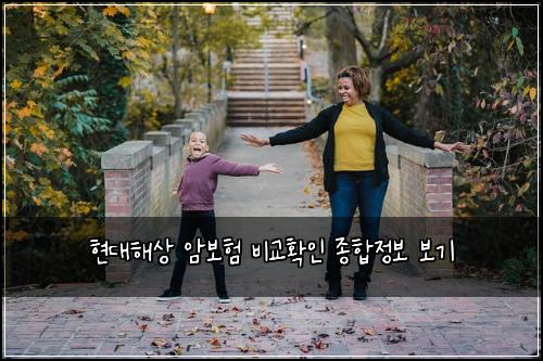 현대해상 암보험 비교확인  종합정보 보기