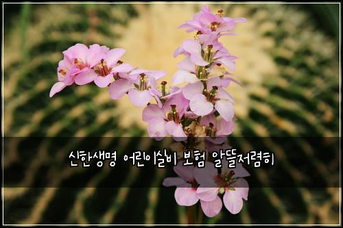 ์ ํ์๋ช
์ด๋ฆฐ์ด์ค๋น ๋ณดํ ์๋ฐ์ ๋ ดํ