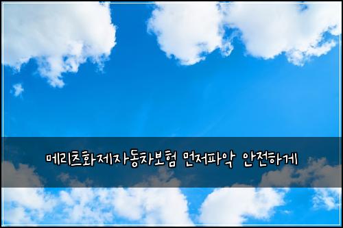 ๋ฉ๋ฆฌ์ธ ํ์ ์๋์ฐจ๋ณดํ ๋จผ์ ํ์
์์ ํ๊ฒ