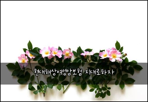ํ๋ํด์์ฌ์ฑ์๋ณดํ ์ง๋๋กํ์