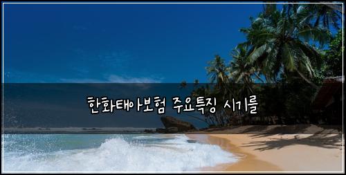 한화태아보험 주요특징  시기를