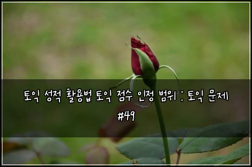 토익 성적 활용법 토익 점수 인정 범위 : 토익 문제 #49