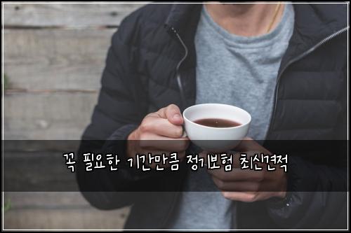 ๊ผญ ํ์ํ ๊ธฐ๊ฐ๋งํผ ์ ๊ธฐ๋ณดํ ์ต์ ๊ฒฌ์ 