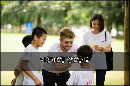 자동차보험 싼보험비교  