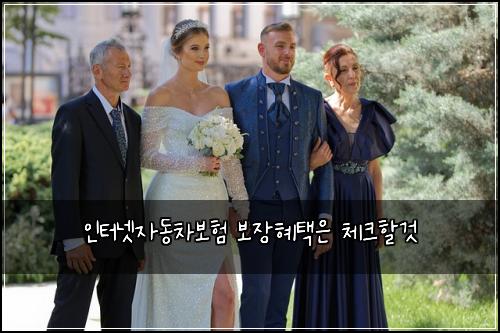 ์ธํฐ๋ท์๋์ฐจ๋ณดํ ๋ณด์ฅํํ์ ์ฒดํฌํ ๊ฒ