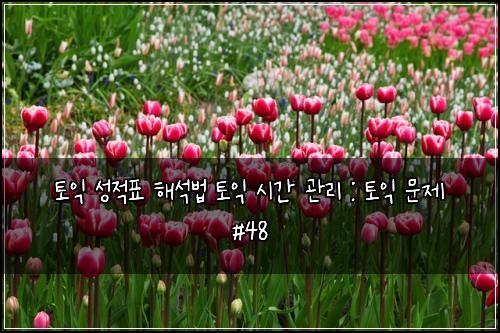 토익 성적표 해석법 토익 시간 관리 : 토익 문제 #48