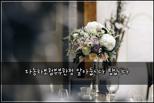 자동차보험부부한정 알아둡시다 팁입니다