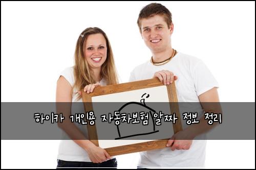 하이카 개인용 자동차보험 알짜 정보 정리