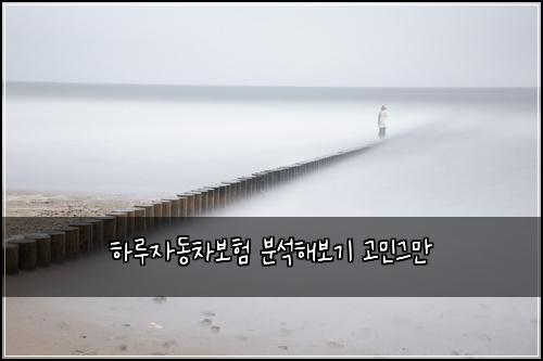 ํ๋ฃจ์๋์ฐจ๋ณดํ ๋ถ์ํด๋ณด๊ธฐ ๊ณ ๋ฏผ๊ทธ๋ง
