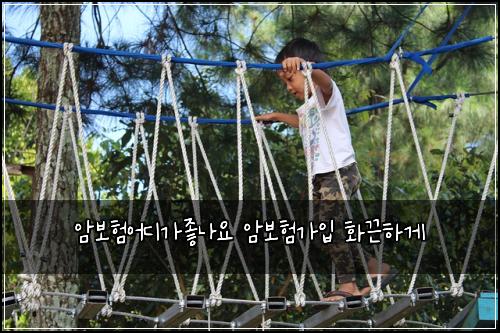암보험어디가좋나요 암보험가입 화끈하게