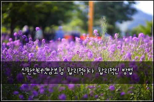μ νμΈν°λ·μ보ν ν©λ¦¬μ μ΄λ€ ν©λ¦¬μ μΈ λ°©λ²