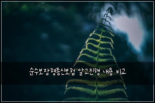 순수보장형종신보험 알고진행  내용 비교