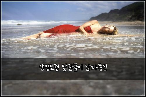 μλͺ
보ν μμ°¬νμ΄ λ¨μμ’
μ