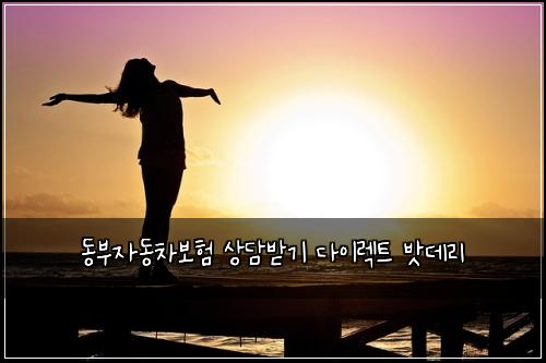 ๋๋ถ์๋์ฐจ๋ณดํ ์๋ด๋ฐ๊ธฐ ๋ค์ด๋ ํธ ๋ฐง๋ฐ๋ฆฌ
