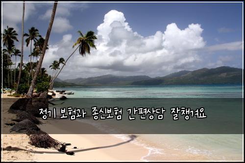์ ๊ธฐ ๋ณดํ๊ณผ ์ข
์ ๋ณดํ ๊ฐํธ์๋ด ์์ฑ๊ฒจ์