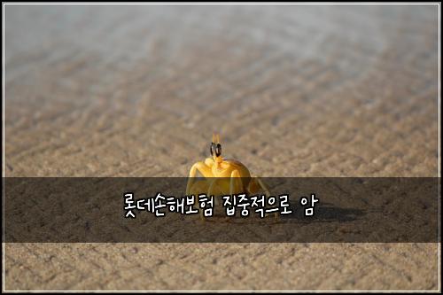 롯데손해보험 집중적으로  암