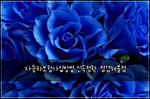 ์๋์ฐจ๋ณดํ๊ฐ์
๋ฐฉ๋ฒ ์ ์์ ํ ์ ๊ฒํด๋ณผ์ 