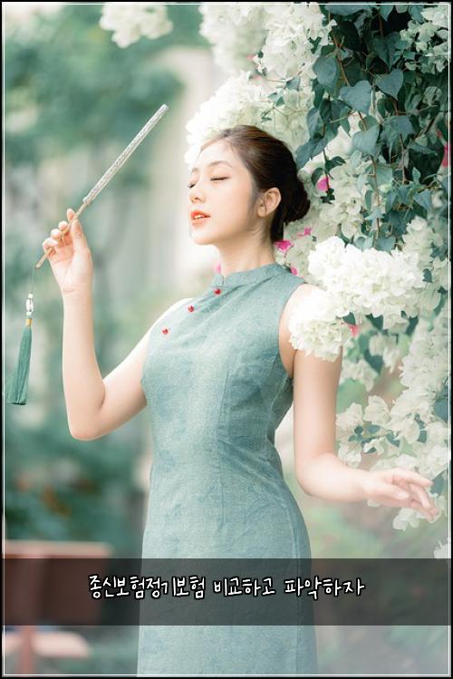์ข
์ ๋ณดํ์ ๊ธฐ๋ณดํ ๋น๊ตํ๊ณ ํ์
ํ์