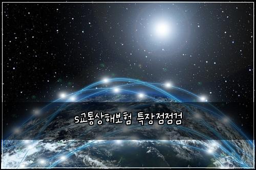 s교통상해보험 특장점점검 