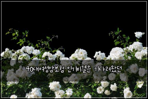 40대여성암보험 인기비결은  기다려왔던