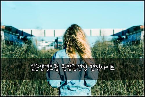 실손생명보험 현명한선정  견적사이트