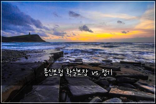 ์ข
์ ๋ณดํ ํ์ค๋ณด์ฅ vs ์ ๊ธฐ